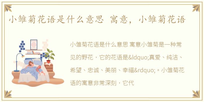 小雏菊花语是什么意思 寓意，小雏菊花语