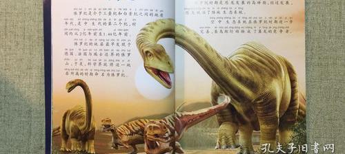 小鹿的鹿怎么写 小鹿犬拼音版