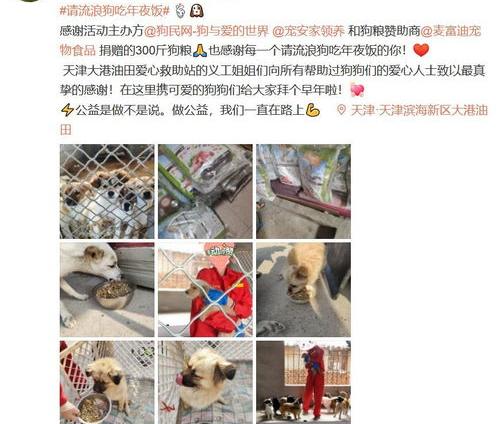 哈尔滨哪有宠物救助站 哈尔滨狗狗救助站
