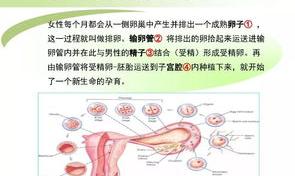 试管婴儿过程中最难的是哪一关？ 试管最难的一关是哪