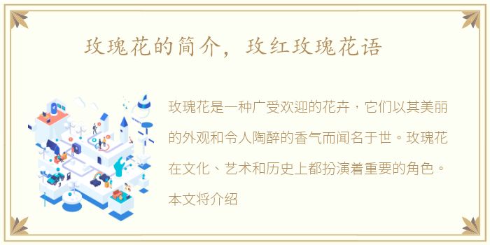 玫瑰花的简介，玫红玫瑰花语