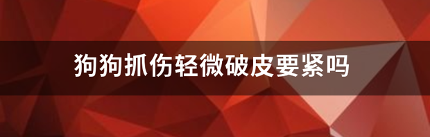 狗狗抓伤轻微破皮要紧吗 狗狗抓伤轻微破皮