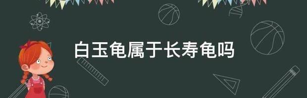 白玉龟是什么品种？ 白玉龟