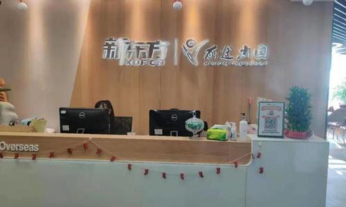 投资移民荷兰 怎么成立荷兰公司 移民咨询公司开办条件