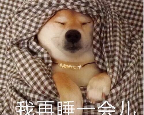 柴犬表情包什么意思？ 打柴犬表情包