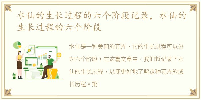 水仙的生长过程的六个阶段记录，水仙的生长过程的六个阶段