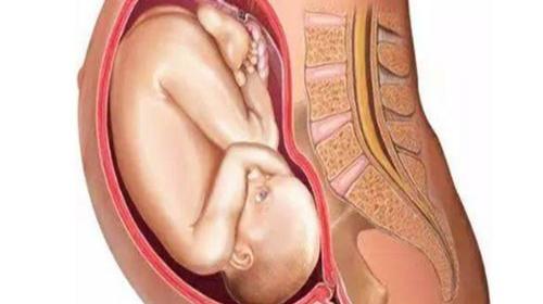 怀孕10周有什么症状？孕十周了会不会出现恶心想吐的症状呢？ 怀孕1个月内的症状