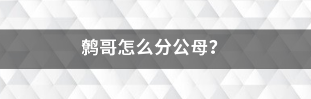 鹩哥怎样区分公母？ 鹩哥怎么分公母