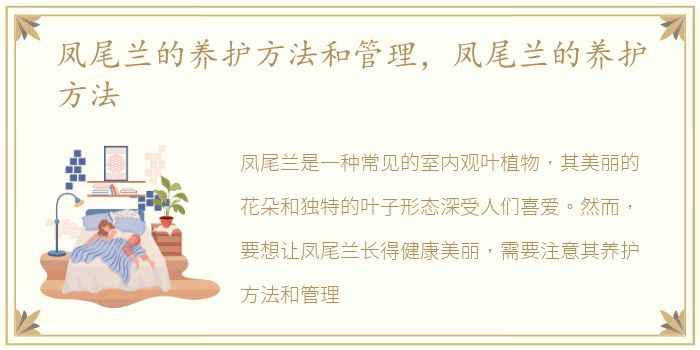 凤尾兰的养护方法和管理，凤尾兰的养护方法