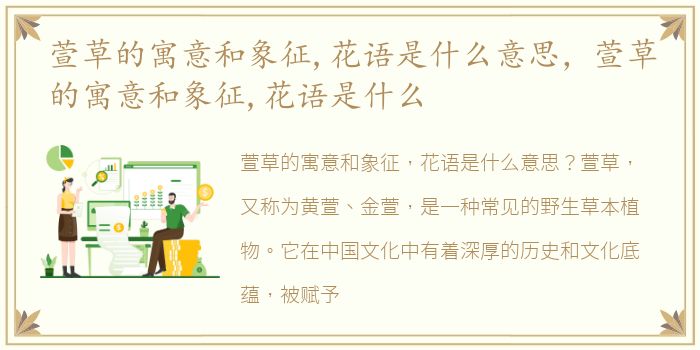 萱草的寓意和象征,花语是什么意思，萱草的寓意和象征,花语是什么