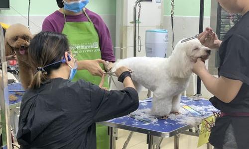 宠物店收不收宠物？ 宠物店收不收狗