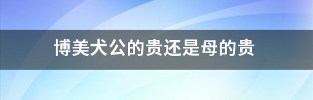 6个月博美犬公的好还是母的好？ 博美犬公的好还是母的