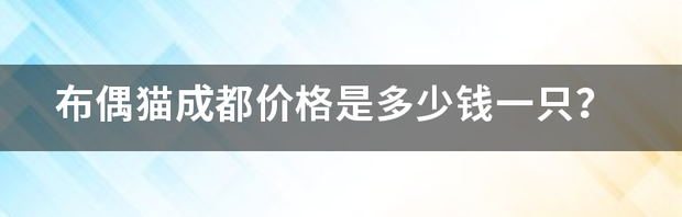 布偶猫成都价格是多少钱一只？ 黑脸布偶猫价格多少钱一只