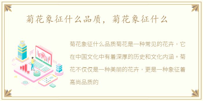 菊花象征什么品质，菊花象征什么
