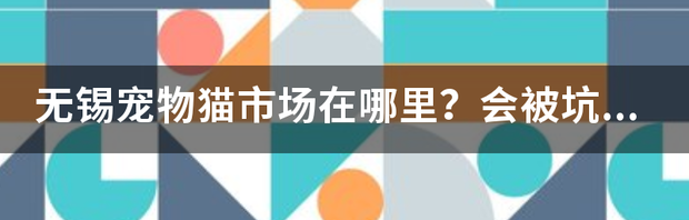 无锡宠物猫市场在哪里？会被坑吗？ 宁波宠物猫市场在哪里