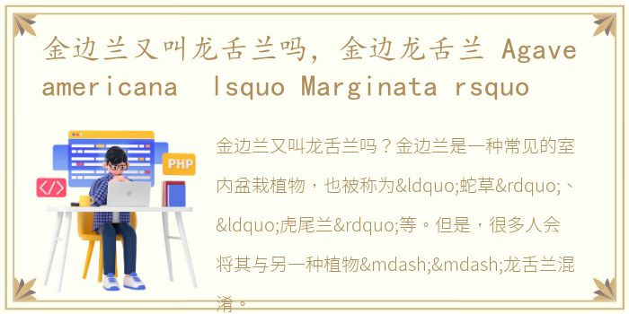 金边兰又叫龙舌兰吗，金边龙舌兰 Agave americana lsquo Marginata rsquo