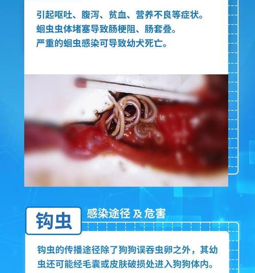 名超抓娃娃机使用说明书 超可信使用说明书