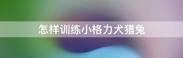 怎么样让格力犬开口咬兔子？ 格力犬猎兔