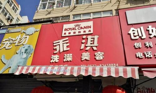 青岛什么地方有宠物市场？ 青岛宠物市场在哪个地方