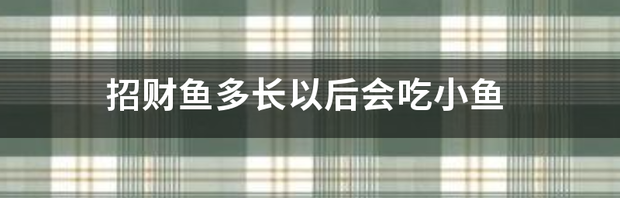 招财鱼能吃小鱼吗？ 招财鱼吃小鱼吗