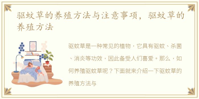 驱蚊草的养殖方法与注意事项，驱蚊草的养殖方法