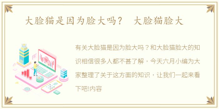 大脸猫是因为脸大吗？ 大脸猫脸大