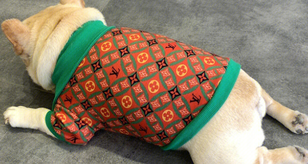 宠物狗衣服制作教程 宠物狗衣服纸样