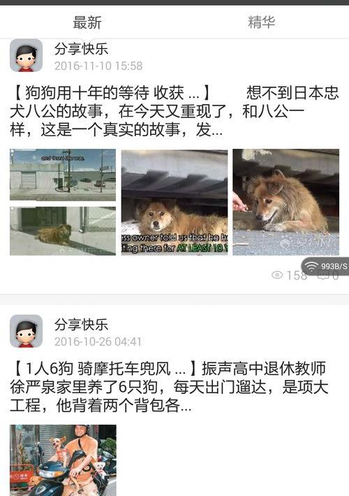 萌狗影视官网怎么打不开 萌狗影视app无广告版