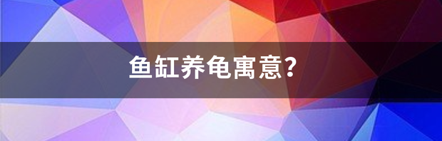 养龟有什么寓意？ 养龟的寓意