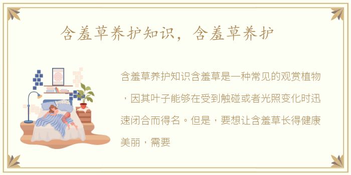 含羞草养护知识，含羞草养护
