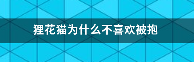 为什么猫咪不让抱，一抱就要咬人？ 狸花猫为什么不喜欢被抱