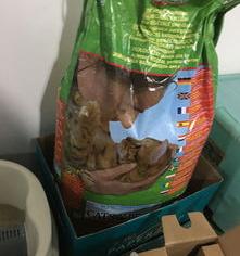 最好的猫粮是什么牌子？ 猫粮品牌起名