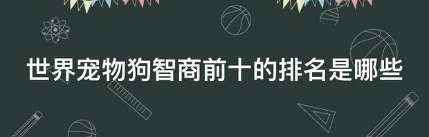 世界宠物狗智商前十的排名是哪些 宠物狗智商排名前十和价格