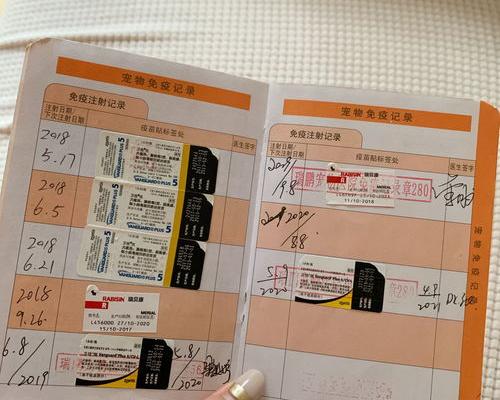养柯基一个月要花多少钱？ 养柯基犬每月费用多少