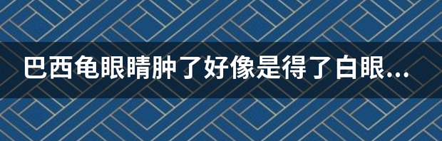 t01e1d4ac365cf74966.png