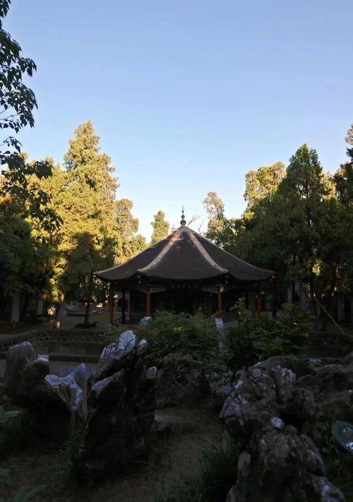 刘备三次访求孔明，最后草堂前的考验更加严峻，孔明被打动了吗？ 卧龙岗上小童子