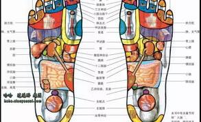 谁知道人体全身的108个穴位听说人体有36？ 足底穴位大全