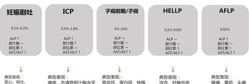 肝功能谷丙偏高 和肾虚有关吗 从转氨酶看肝损伤级别