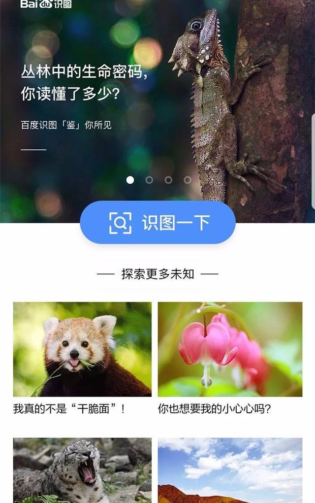有什么好用的识图软件？ 百度识图在线