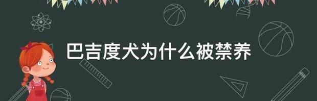 巴吉度是什么意思？ 巴吉度犬凶吗