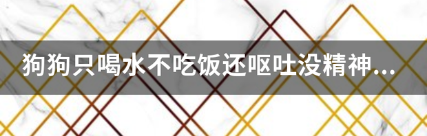 狗狗不吃饭，只是喝水，喝完就吐，吐的全是水？ 狗不吃饭只喝水还呕吐