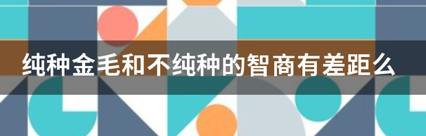 纯种金毛和普通金毛的区别？ 纯种金毛和不纯种智商差别