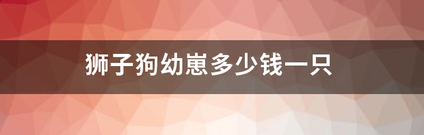 哈巴狗刚生怎么喂？ 哈巴狗幼崽