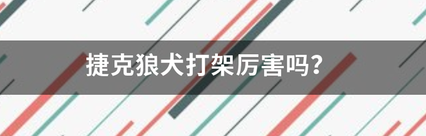 哪个城市允许养捷克狼犬？ 捷克狼犬和藏獒哪个厉害