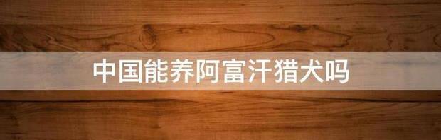 一只阿富汗猎犬大概要多少钱？ 阿富汗巡回猎犬