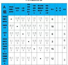 足球锦标赛是什么意思？ 足球查分比赛