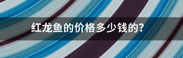 红龙鱼的价格多少钱的？ 红龙鱼一般多少钱