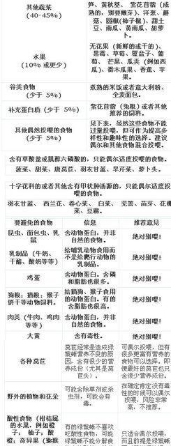 如何正确饲养绿鬣蜥蜴？ 绿鬣蜥散养环境
