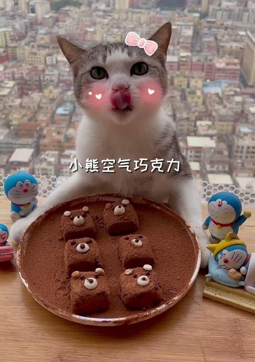 猫咪能吃巧克力吗？ 猫吃少量巧克力
