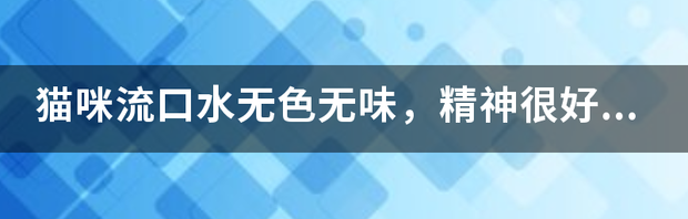猫咪总是流口水怎么回事？ 猫流口水但是精神很好